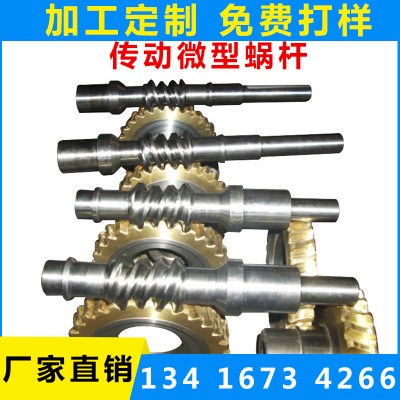 传动微型蜗轮蜗杆